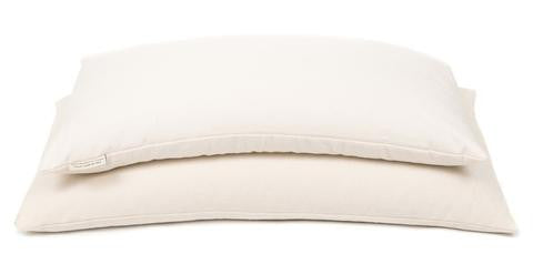 Do ComfyComfy Buckwheat Pillows Make the Grade? 5 Points to Consider ...